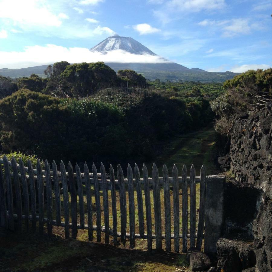 Casa Da Lava Pension São Roque do Pico Buitenkant foto